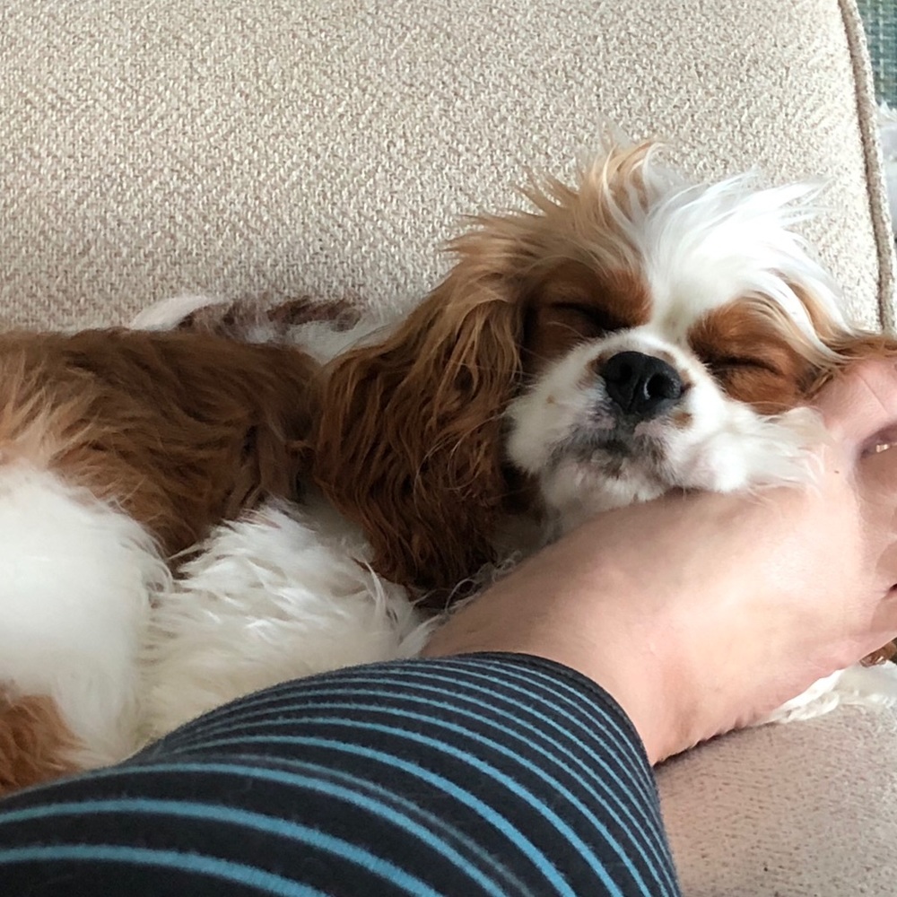 My baby Remy ๐ถ๐ท - Picture 13 of 16